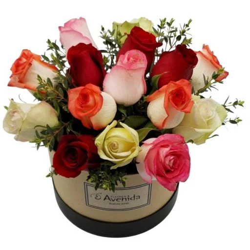 Caja pote con 15 rosas importadas multicolor